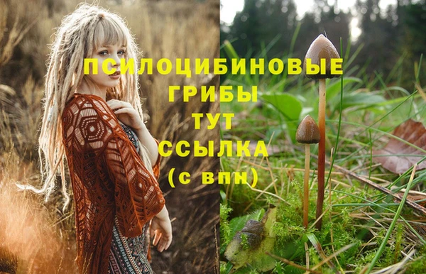 стафф Мегион